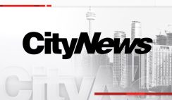 City News Toronto